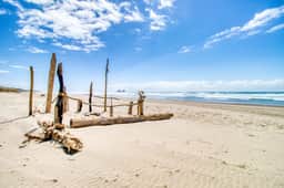 Dog Friendly Oceanside Escape with Easy Beach Access and Peaceful Surroundings - Image 3
