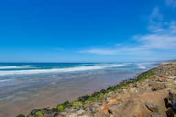 Dog friendly oceanfront condo with amazing ocean views steps to beach - Image 5