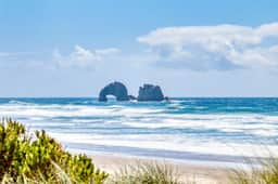 Eight Dog Friendly Rooms with Kitchens and Kitchenettes Walk to Downtown and Beach - Image 3