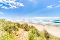 Charming Dog Friendly Room with Kitchenette Walk to Downtown and the Beach - Image 3