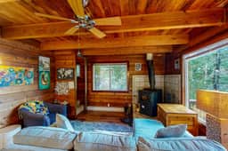 Dog friendly cabin with ocean view fast WiFi fireplace and washer dryer - Image 4