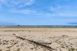 Waterfront house with ocean views and gorgeous sunsets dog friendly - Image 4