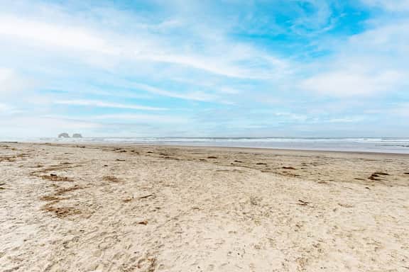 Dog Friendly Waterfront Condo with Ocean Views and Nearby Beach Access - Image 5