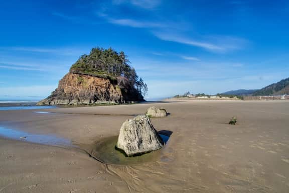 Dog-Friendly Beach Cottage in Peaceful Neskowin - Image 3