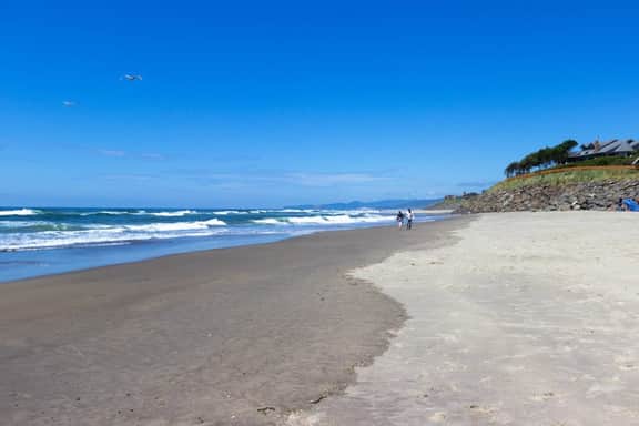 Dog friendly oceanfront condo with amazing ocean views steps to beach - Image 2