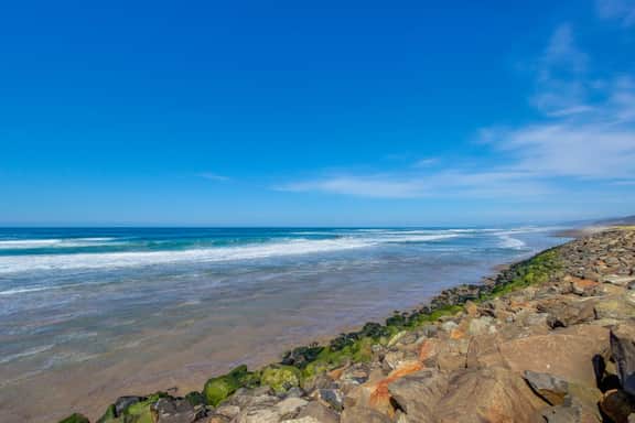 Dog friendly oceanfront condo with amazing ocean views steps to beach - Image 5