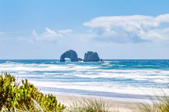 Eight Dog Friendly Rooms with Kitchens and Kitchenettes Walk to Downtown and Beach - Image 3
