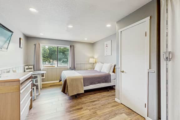 Charming Dog Friendly Room with Kitchenette Near the Beach and Downtown - Image 5