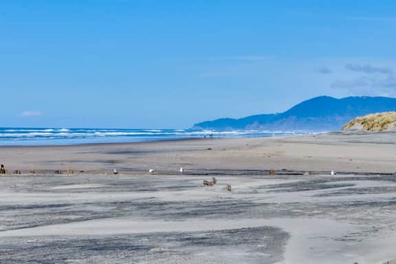 Vintage Style Home with Easy Beach Access Dog friendly - Image 3